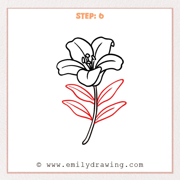 how to draw a lily flower - Step 6